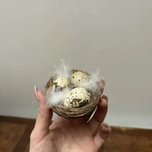 Mini Fågelbo med Dekorationsägg