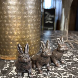 Järntassar till kruka - Kanin